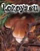 Web de Lozoya del Valle