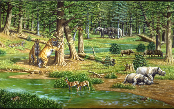 Animales Prehistoricos,Los primeros mamiferos