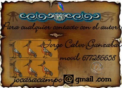 Contacto