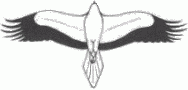 Silueta de los alimoches