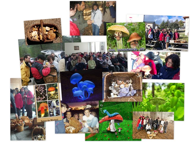 Micología 2010